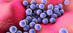 Σταφυλόκοκκος: Ο κίνδυνος για τα παιδιά και πώς αντιμετωπίζεται