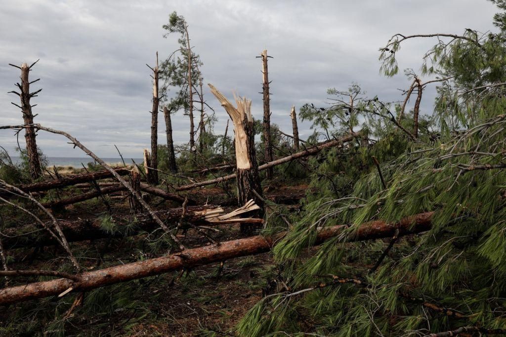 Χαρδαλιάς: Η μεγαλύτερη καταιγίδα στην περιοχή εδώ και 35 χρόνια