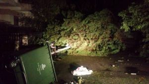 Χαλκιδική: Μαρτυρία – σοκ για το θάνατο μητέρας και γιου