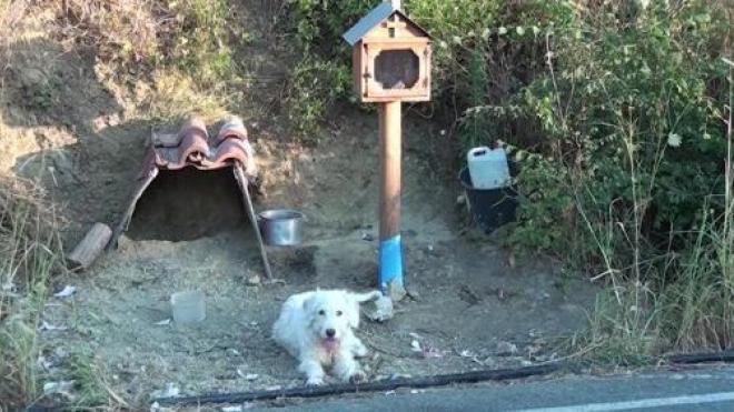 Τι συνέβη με το ελληνικό «Χάτσικο» στη Ναύπακτο