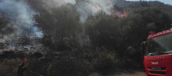 Ζάκυνθος: Φωτιά καίει δασική έκταση κοντά στην πόλη