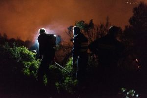 Υπό μερικό έλεγχο η πυρκαγιά στην Εύβοια