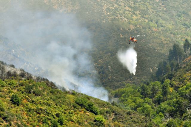 Πυρκαγιές σε δυσπρόσιτες περιοχές κοντά στη Λαμία | tanea.gr