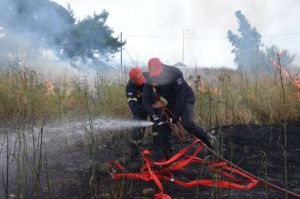Πευκοδάσος καίγεται στην Περαχώρα Λουτρακίου