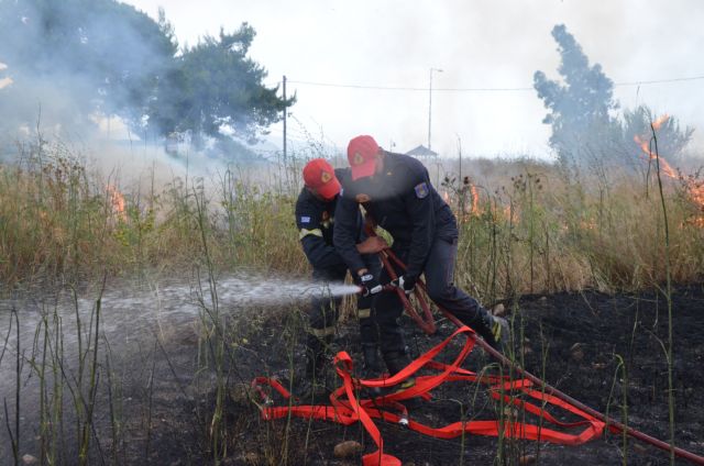 Πευκοδάσος καίγεται στην Περαχώρα Λουτρακίου