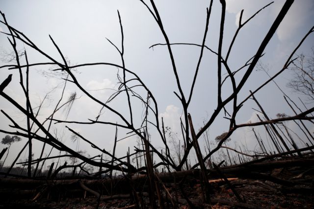 Oι G7 στέλνουν Canadair στον Αμαζόνιο
