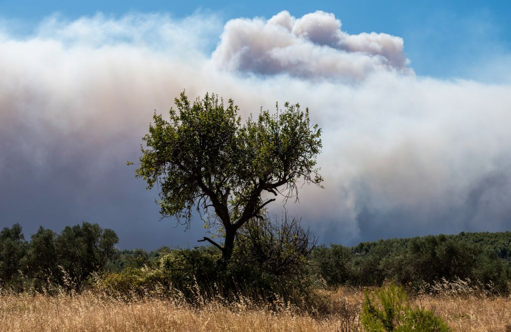 Εύβοια: Εγιναν στάχτη 23.565 στρέμματα