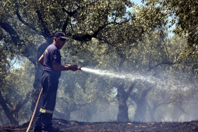 Φωτιά σε δασική έκταση στο Ορέστειο Αρκαδίας