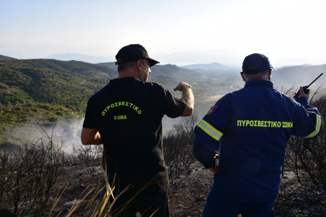 Πυρκαγιά στην Αρχαία Νεμέα