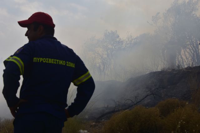 Πυρκαγιά στο Ανεμοχώρι Ηλείας