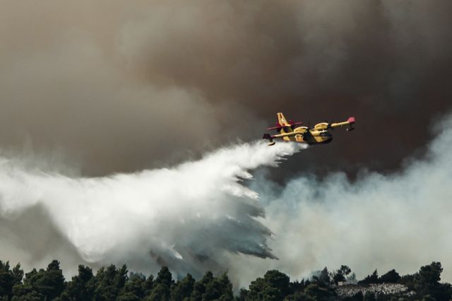 Φωτιά Εύβοια: Πώς έγινε στάχτη ένα μεγάλο δάσος