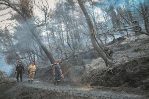 Kρατάει χρόνια η κατάρα της Εύβοιας – Ανυπολόγιστη καταστροφή