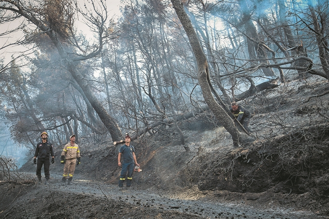 Kρατάει χρόνια η κατάρα της Εύβοιας – Ανυπολόγιστη καταστροφή