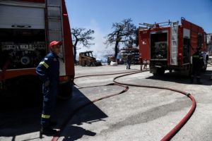 Πυρκαγιά ξέσπασε στο Μουρίκι στα Καλάβρυτα