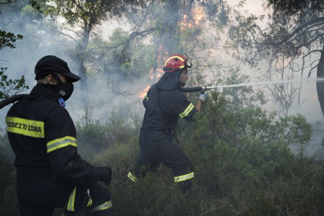Πύρινη κόλαση στην Εύβοια: Μάχη για την ανάσχεση της φωτιάς σε Πλατάνα και Κοκκάλα
