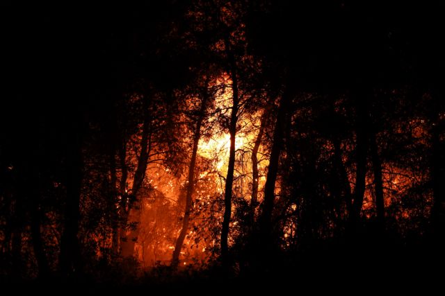 Καρέ – καρέ η ολονύχτια «μάχη» με την φωτιά στην Εύβοια