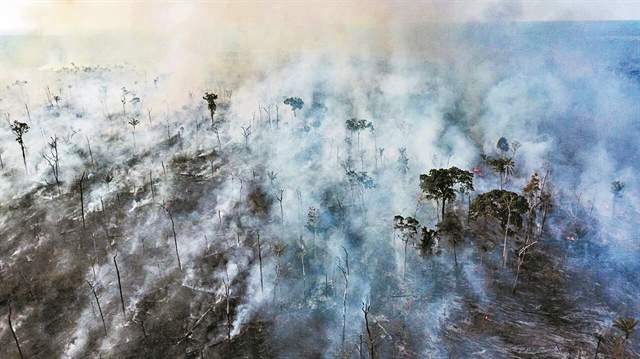 39.194 πυρκαγιές φέτος στον Αμαζόνιο