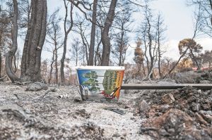 Περιβαλλοντικός ριζοσπαστισμός