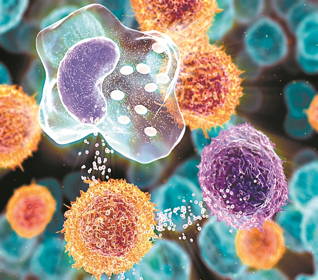 Oταν η άμυνα του οργανισμού περνάει στην επίθεση