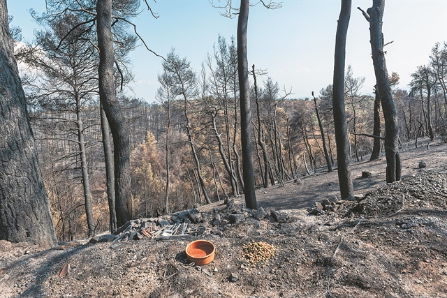Κάηκε το άλλοθι βασικού υπόπτου