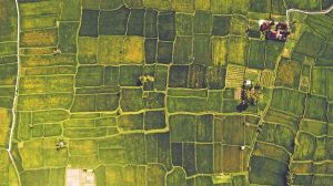 Έρχονται τα πάνω-κάτω στους δασικούς χάρτες – Η λύση για τα αυθαίρετα