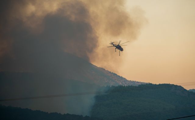 Φωτιά σε δύσβατη περιοχή στην Κέρκυρα