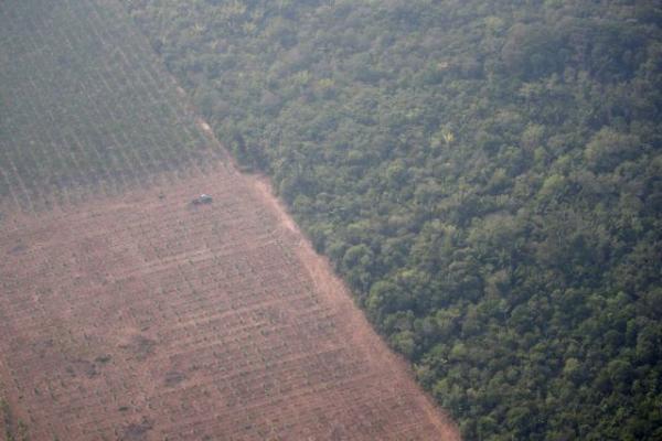 Ασύλληπτη οικολογική καταστροφή στον Αμαζόνιο από τις φωτιές
