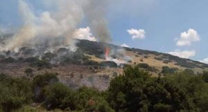 Υπό μερικό έλεγχο η πυρκαγιά στα Πικουλιάνικα Σπάρτης