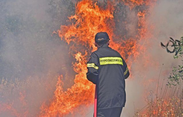 Πυρκαγιά στη Βάρδα Ηλείας – Ισχυρές δυνάμεις της Πυροσβεστικής στο σημείο