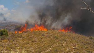 Φωτιά στα Σβορωνάτα Κεφαλονιάς