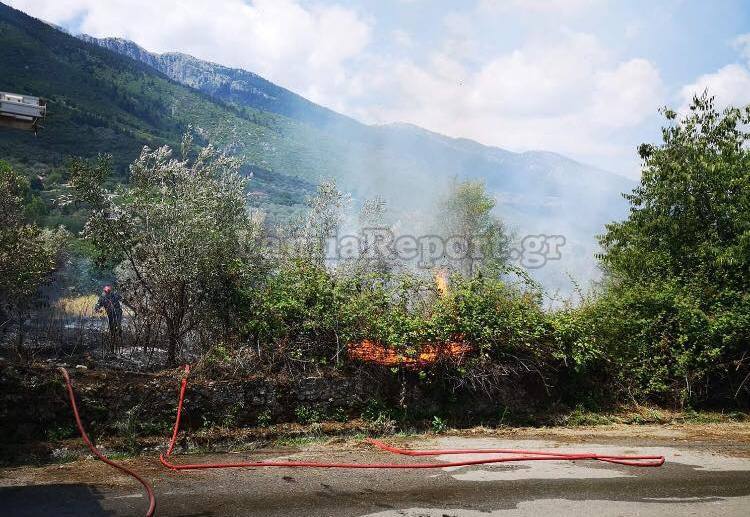 Υπό έλεγχο η φωτιά στην Τιθορέα – Για εμπρησμό μιλούν οι κάτοικοι