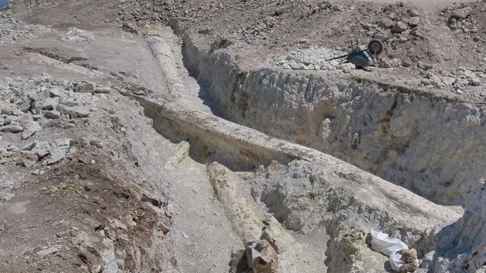 Δύο γιγάντιοι απολιθωμένοι κορμοί αποκαλύφθηκαν στη Λέσβο