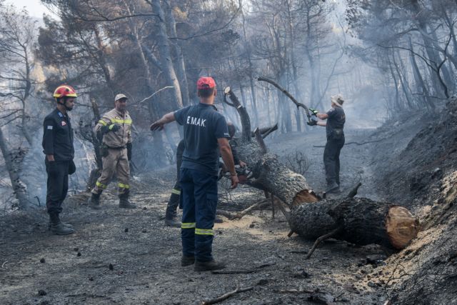 Αποστόλου από Εύβοια: «Κλειδί» για την αποτροπή πυρκαγιών η πρόληψη