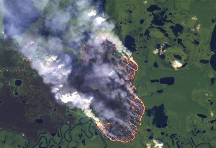 Τεράστια οικολογική καταστροφή στον Αμαζόνιο: Οι καπνοί «σβήνουν» τον ήλιο