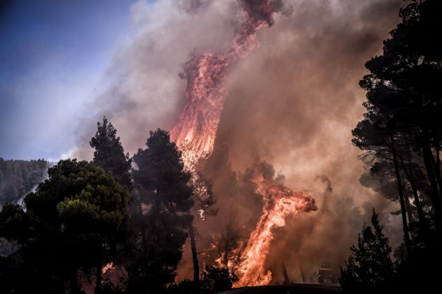Στις φλόγες η Εύβοια: Ισχυροί άνεμοι δυσχεραίνουν το έργο της Πυροσβεστικής