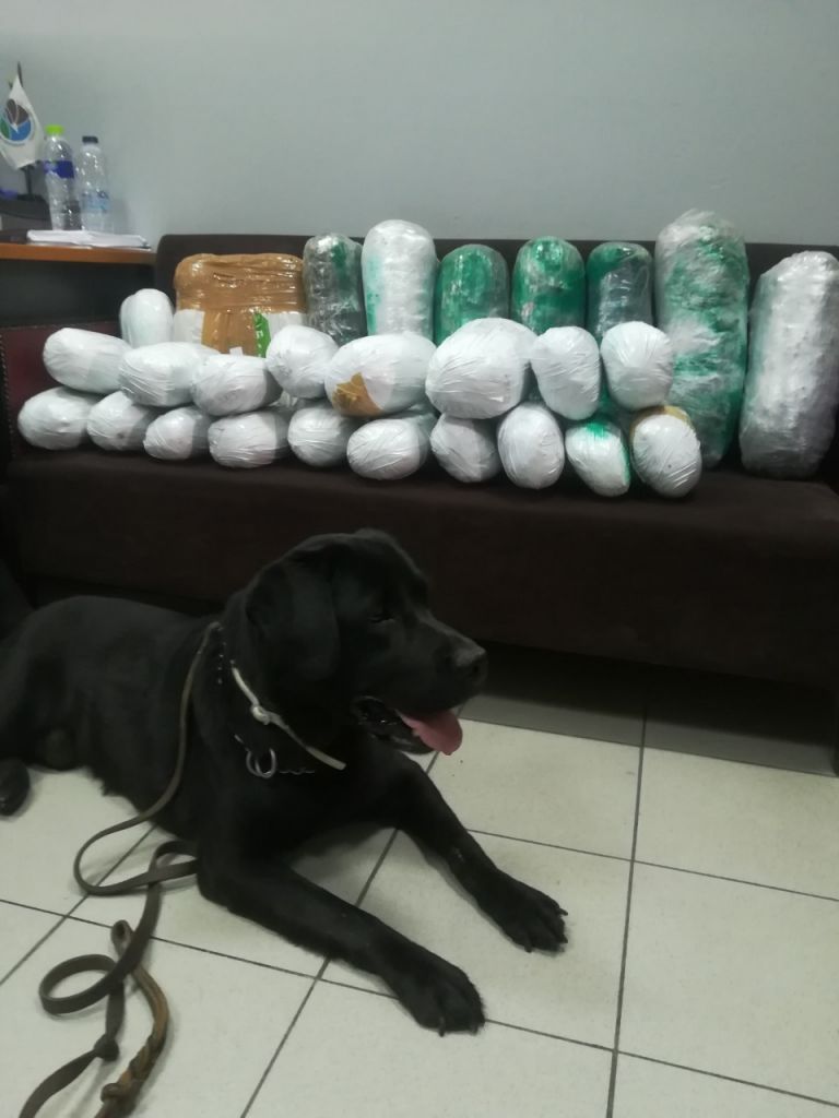 Θεσσαλονίκη: 23 κιλά κάνναβης εντόπισε αστυνομικός σκύλος, ονόματι Άτλας