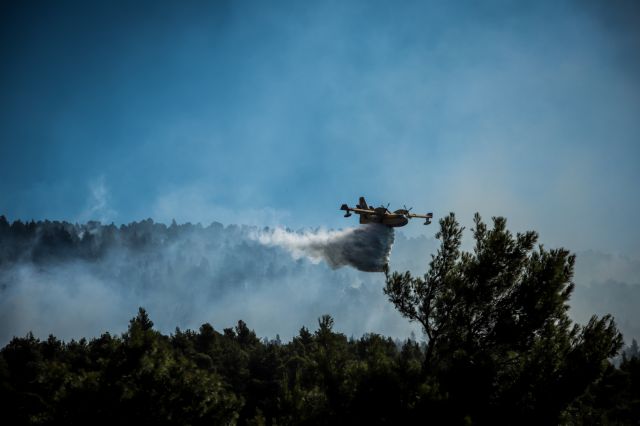 Στη μείξη των δασών βλέπει την λύση για την αποφυγή πυρκαγιών ο δασάρχης Κιλκίς