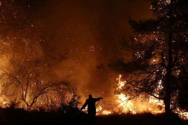 Φωτιά στην Εύβοια: Στα 11,5 χιλιόμετρα το μέτωπο της πυρκαγιάς