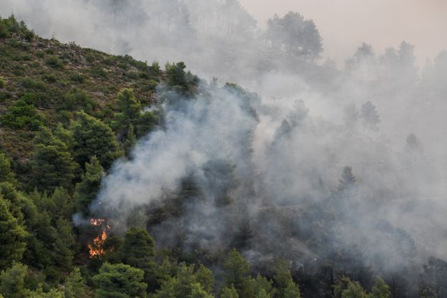 Φωτιά στα Τσουκαλέικα Μεσσηνίας – Συναγερμός στην Πυροσβεστική