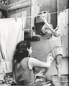 Ρίζες στο χέρσο