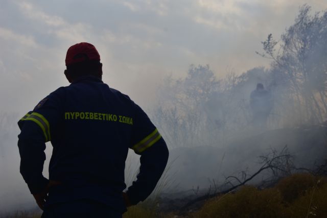 Μαίνεται η πυρκαγιά σε δάσος στην Αρχαία Ολυμπία