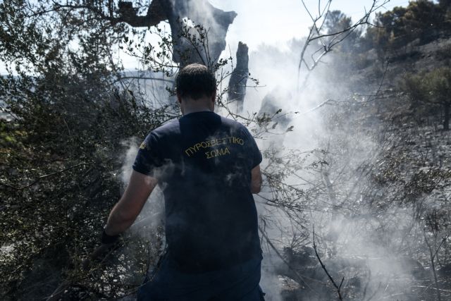 Ξανά πυρκαγιές : Μέτωπα σε Μεσσηνία και Άρτα