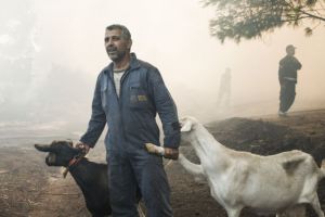 Συγκλονιστικές εικόνες από την καταστροφή