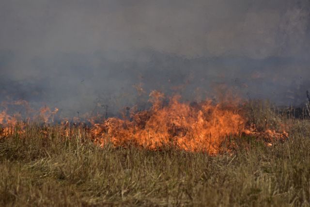 Πυρκαγιά σε αγροτοδασική έκταση στην Κεφαλονιά