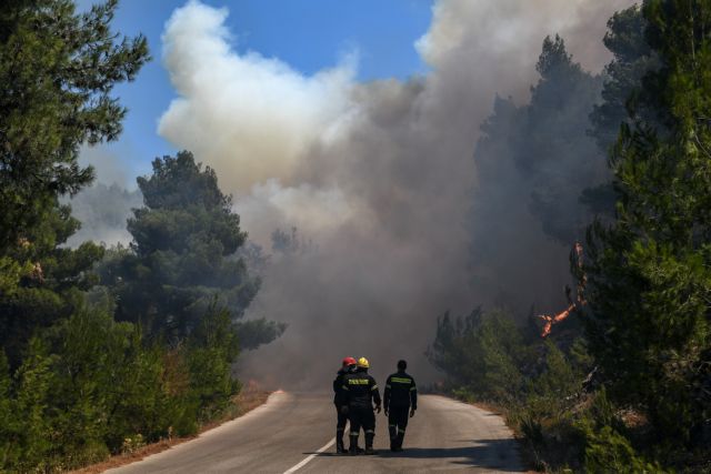 Πυρκαγιά σε περιοχή Natura στην Κέρκυρα