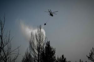 Τριάντα έξι πυρκαγιές την Κυριακή