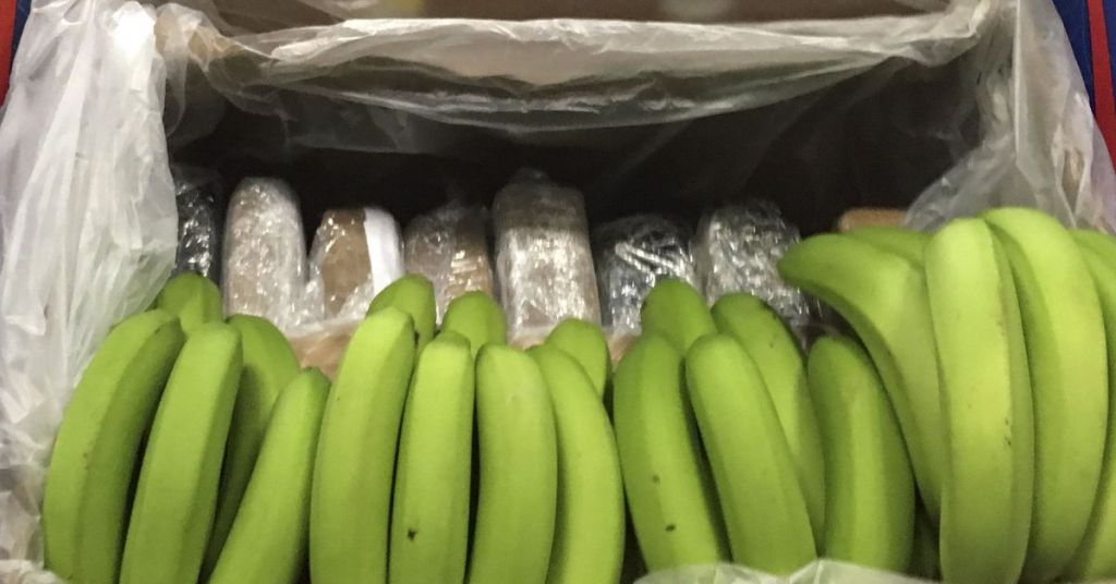 Πειραιάς: Κοντέινερ με μπανάνες έκρυβαν μεγάλη ποσότητα κοκαΐνης