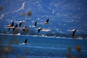 Η… πτήση προς την επιτυχία απαιτεί σωστή προετοιμασία