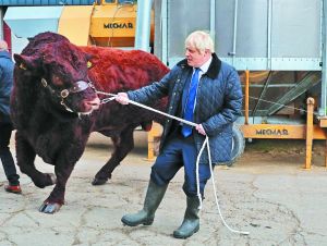 Η πρώτη επιχείρηση εντός του ασύλου