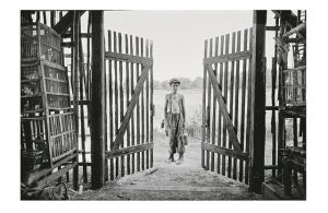 Ποίηση και βία από την Τσεχία